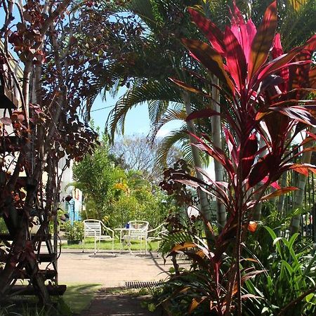 Asylum Cairns Share House Hostel Exterior foto
