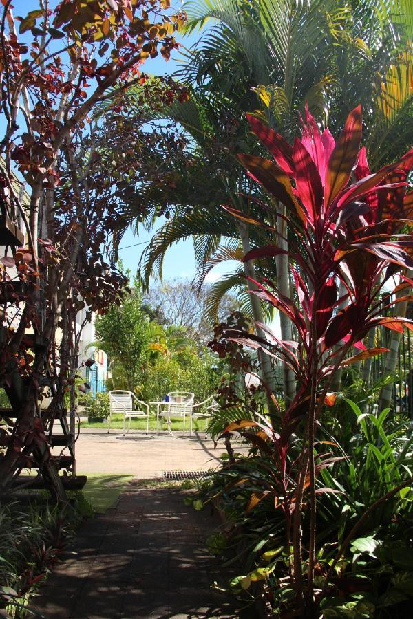 Asylum Cairns Share House Hostel Exterior foto